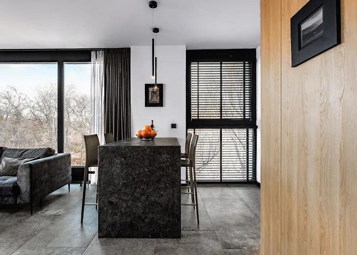 Апартаменты Platinium Residence&spa Basen-sauna 